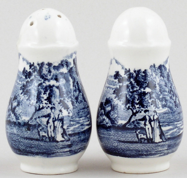 Salt and Pepper Pots or Shakers